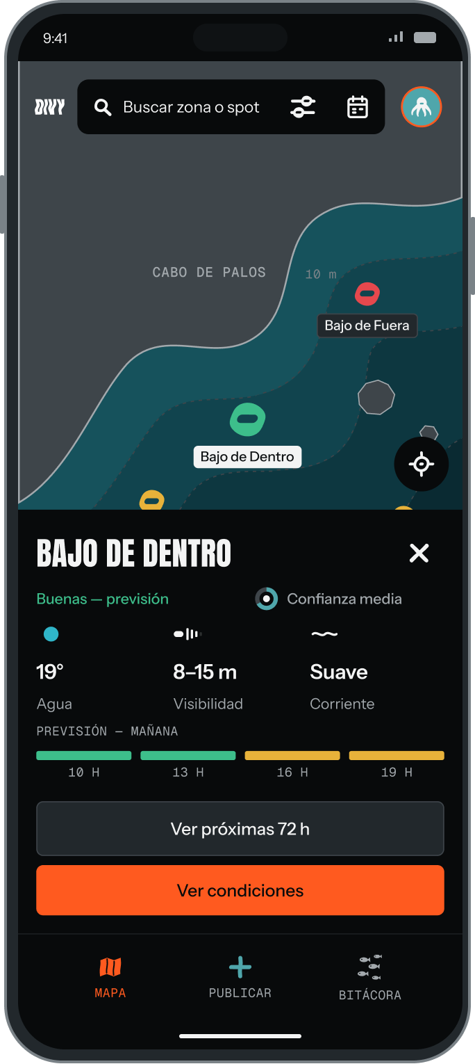 La ficha de condiciones de Bajo de Dentro